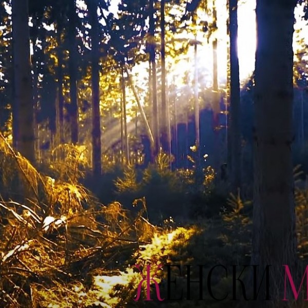 Дарко Лешоски: Сончевата светлина која се „цеди“ низ лисјата од дрвјата