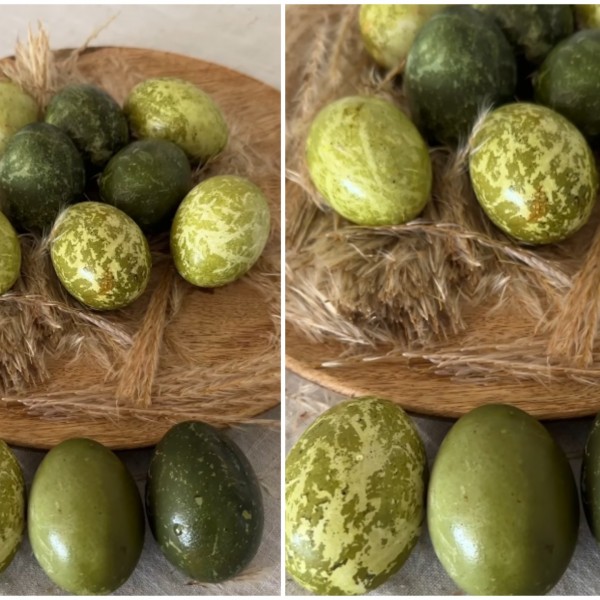 Добијте маслинесто зелена боја на велигденските јајца: Ви треба само куркума и чај од хибискус (ВИДЕО)